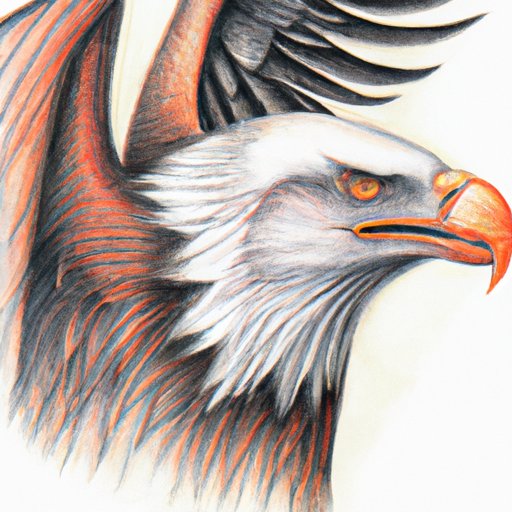 How to Draw an Eagle: A Step-by-Step Guide