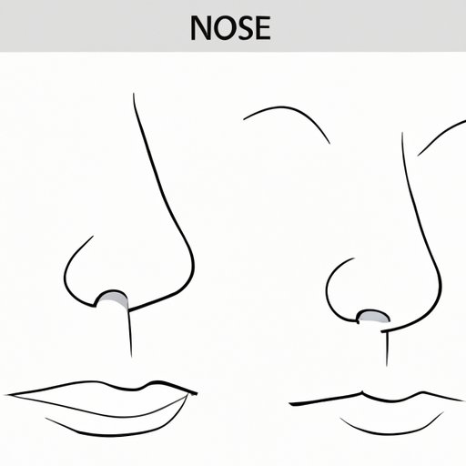 How to Draw a Nose: A Comprehensive Guide