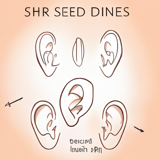 The Ultimate Guide on How to Draw Ears: Techniques, Tips, and Proportions