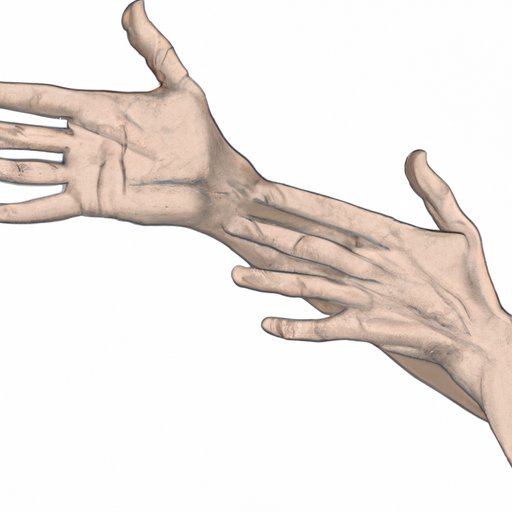 How to Draw Realistic Hands: A Step-by-Step Guide and Anatomy Breakdown for Beginners