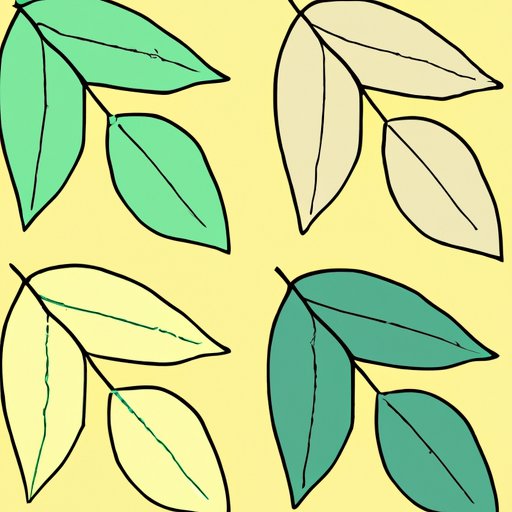 How to Draw Leaves: A Step-By-Step Guide to Sketching Nature’s Beauty