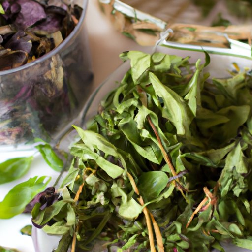 How to Dry Basil: Top Techniques for Year-Round Flavor