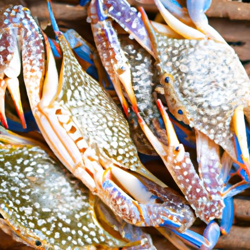 How to Eat Blue Crab: A Step-by-Step Guide, Delicious Pairings, and More