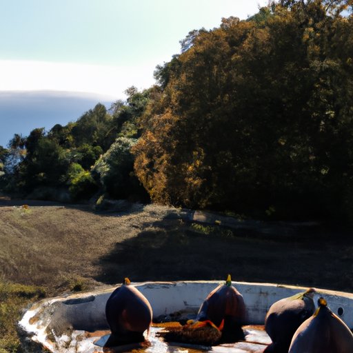 Fig-licious: Your Ultimate Guide to Eating Figs