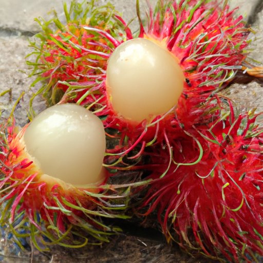 A Beginner’s Guide to Eating Rambutan: Tips, Tricks, and Delicious Recipes