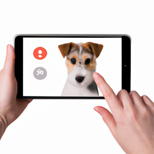 How to Evolve Pawmo: A Comprehensive Guide to Elevating Your Pet’s Digital Presence