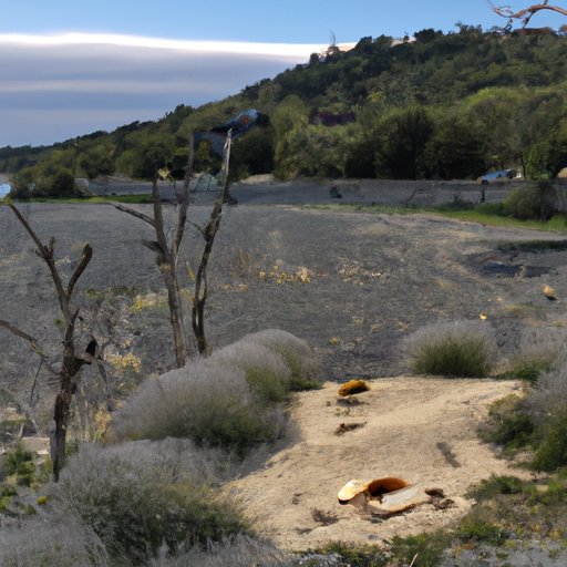 How to Get Rid of Acne Scars Naturally: Expert Remedies and Skincare Tips