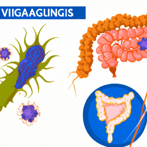 How to Get Rid of Bacterial Vaginosis: Natural Remedies, Probiotics, Antibiotics, Lifestyle Changes, Alternative Medicine, and Medical Procedures
