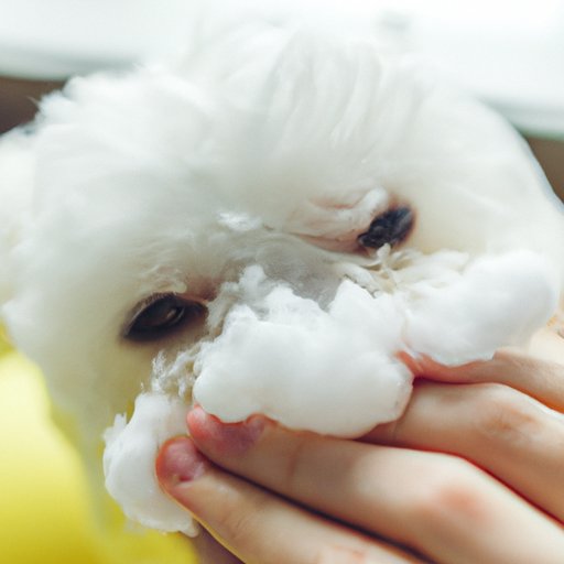 The Ultimate Guide to Eliminating Dog Gland Smell: Tips and Tricks for a Fresh-Smelling Home