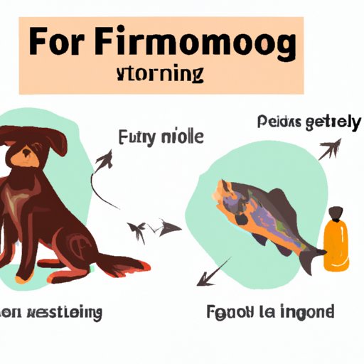 How to Get Rid of Fishy Smell from Your Dog: Natural Remedies, Grooming Tips, and More