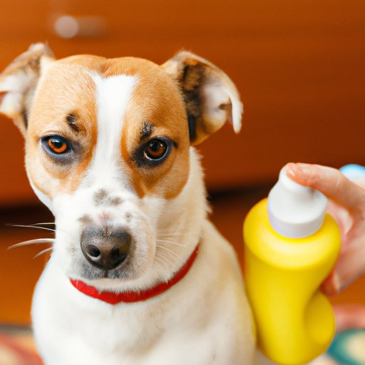 How to Get Rid of Fleas on Dogs: Natural Remedies, Commercial Products, Grooming and More!