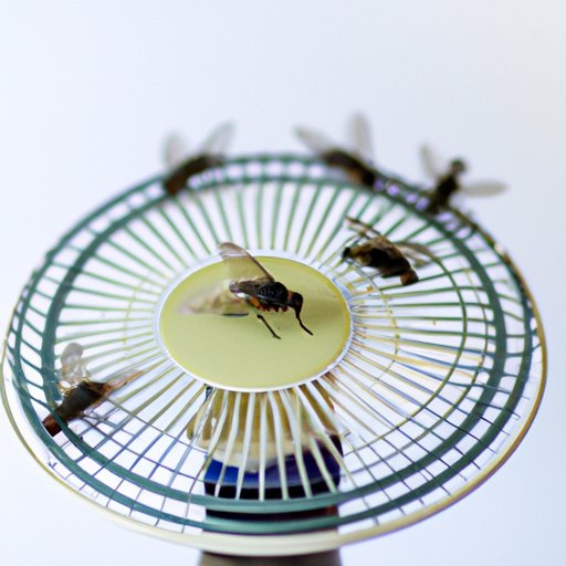 Effective Solutions for Getting Rid of Flies – Natural Remedies, DIY Traps, and More