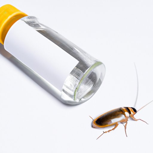 How to Get Rid of German Roaches Overnight: Natural and Professional Methods