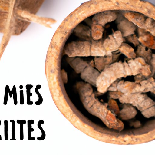 How to Get Rid of Mites: A Comprehensive Guide to Natural and DIY Solutions