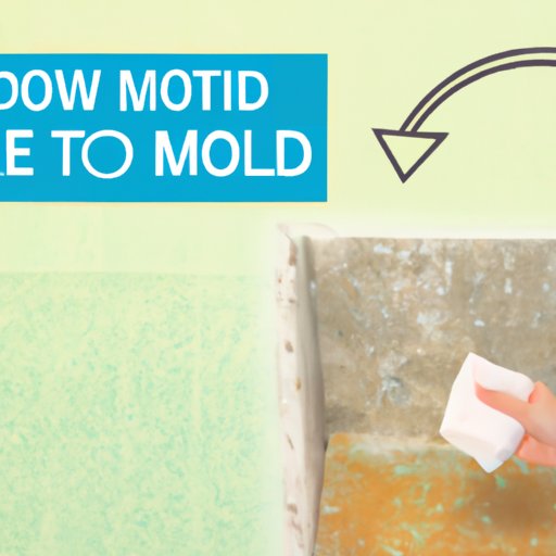 How to Get Rid of Mold: A Comprehensive Guide to Cleaning and Prevention