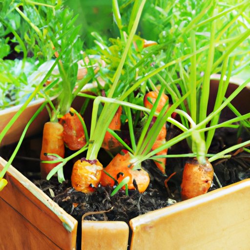 How to Grow Carrots: A Comprehensive Guide for Gardeners