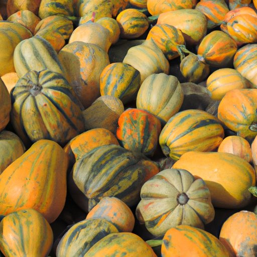 How to Grow Pumpkins: A Comprehensive Guide for Gardening Enthusiasts