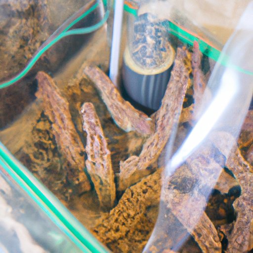 How to Grow Shrooms: A Step-by-Step Guide to DIY Mushroom Cultivation