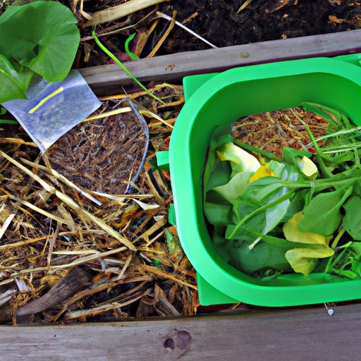 Going Green: How to Grow Your Own Sustainable Garden