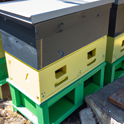 How to Keep Bees Away: Natural Repellents, Bee-Friendly Plants and More