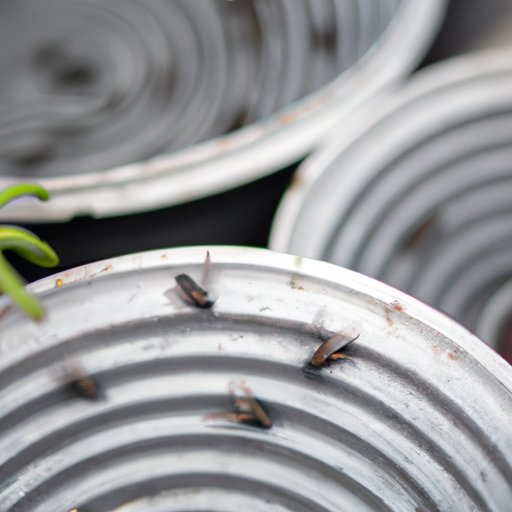 How To Keep Flies Away Outside: Natural and DIY Solutions