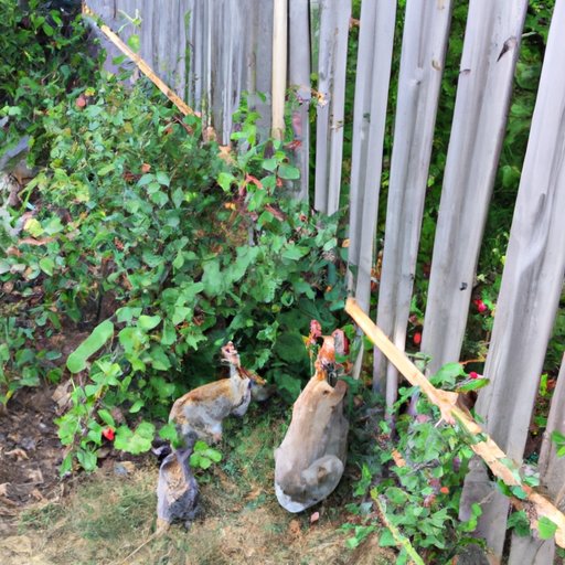 How to Keep Rabbits Out of Your Garden: A Comprehensive Guide