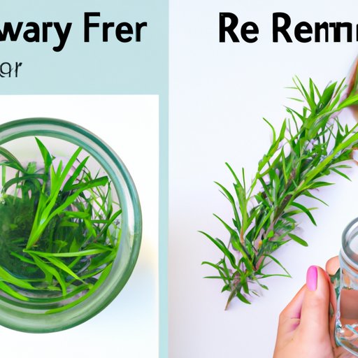 How to Make Rosemary Water for Hair: A Step-by-Step Guide to Healthier Hair