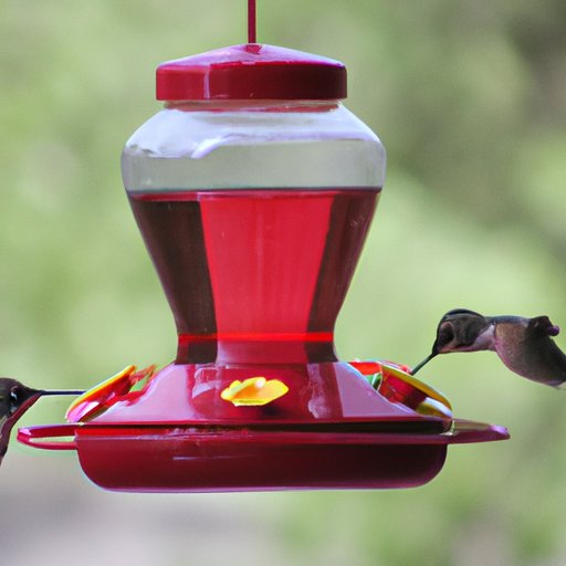 How to Make Sugar Water for Hummingbirds: A Comprehensive Guide