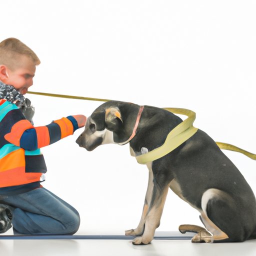 How to Make Your Dog a Service Dog: A Step-by-Step Guide