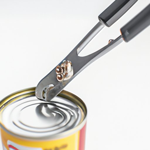 How to Open a Can without a Can Opener: Spoon, Knife, Rock, Teeth, and More!