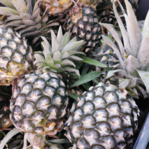 The Ultimate Guide to Picking the Perfect Pineapple: Tips, Recommendations, and Expert Advice