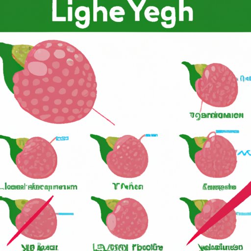 How to Pronounce Lychee: A Beginner’s Guide