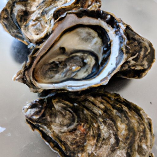 How to Shuck an Oyster: The Ultimate Guide