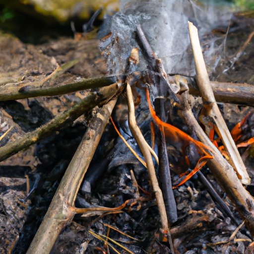 Starting a Fire: A Beginner’s Guide to Campfire Building and Beyond