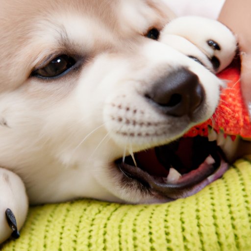 How to Stop a Puppy from Biting: Practical Tips and Techniques