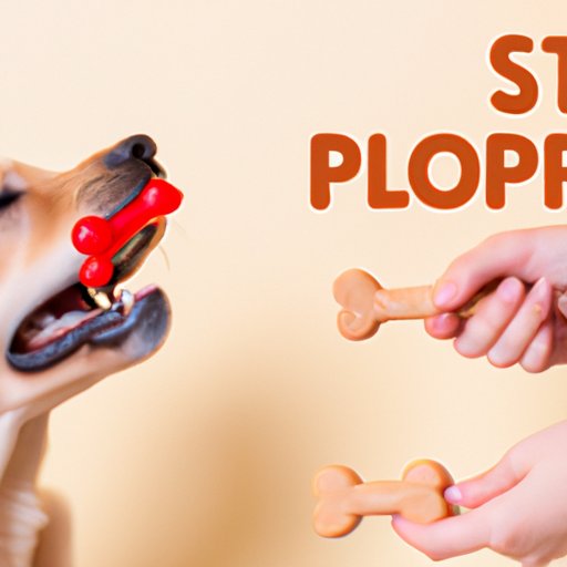 How to Stop Puppy Biting: Training Techniques and Chew Toys