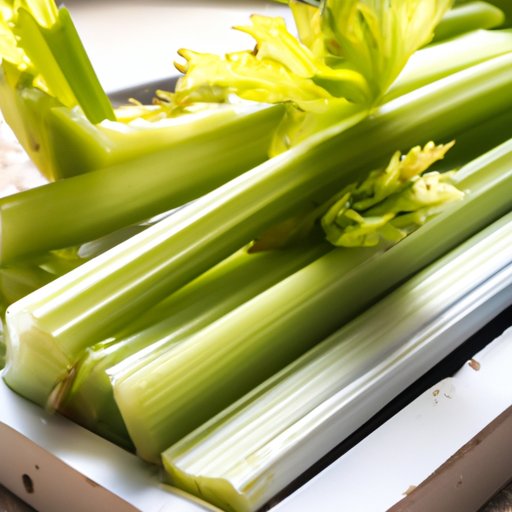 5 Easy Tips for Keeping Your Celery Fresh: A Guide to Proper Storage