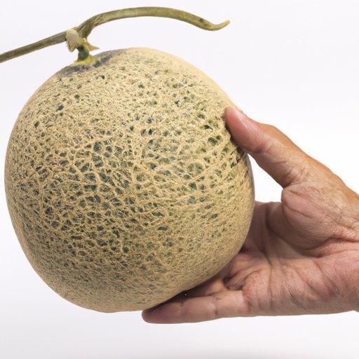How to Tell if Cantaloupe is Ripe: Your Ultimate Guide to Picking Perfect Fruit