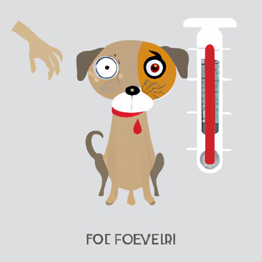 How to Tell If Your Dog Has a Fever: Signs, Symptoms, and Prevention Tips
