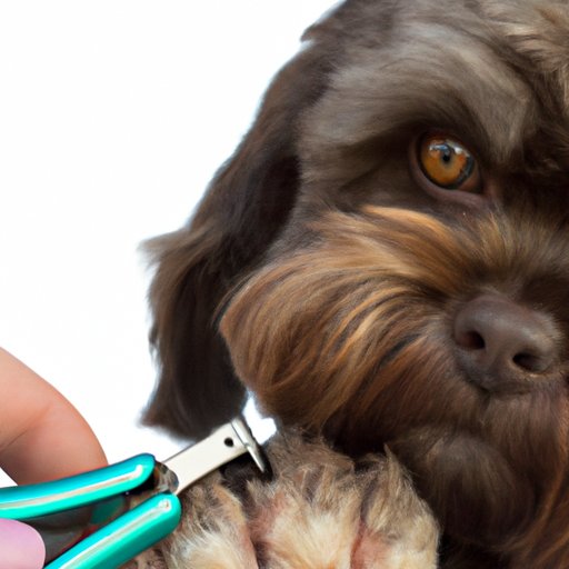 How to Trim a Dog’s Nails: A Step-by-Step Guide