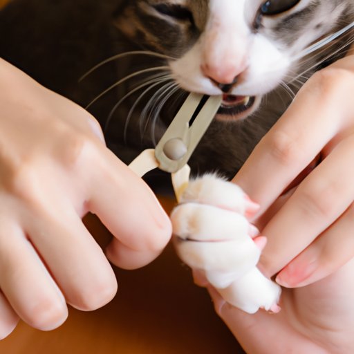 How to Trim Your Cat’s Nails: A Step-by-Step Guide with Expert Tips