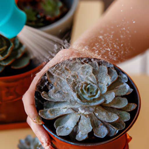 The Ultimate Guide to Watering Succulents: Tips and Tricks for Healthy Plants