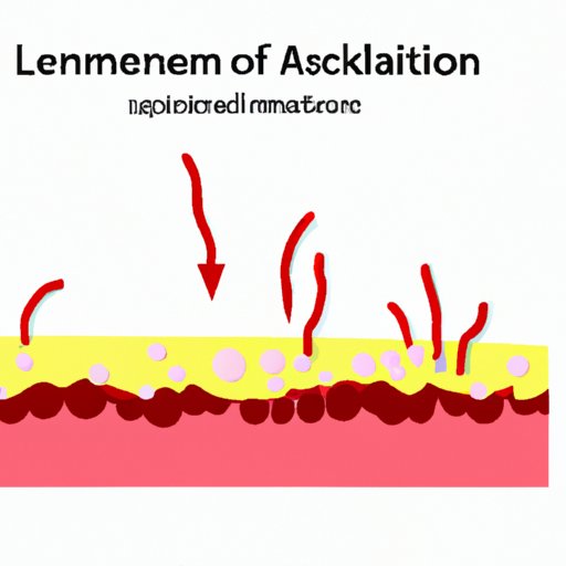 The Sticky Process: Understanding Leukocyte Adhesion to Capillaries