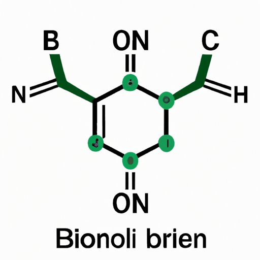 The Polarity of Bri Molecule: Unraveling the Mystery of the Negative Pole
