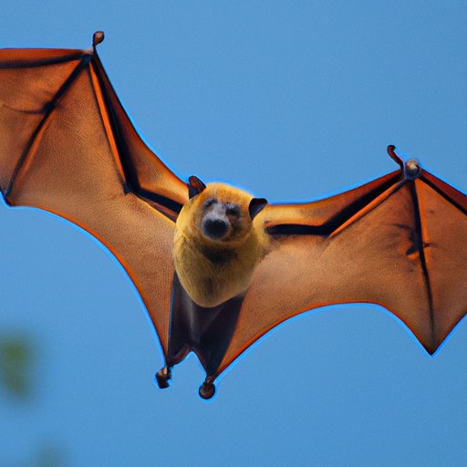 The Wonders of Flying Mammals: Characteristics, Evolution, and Significance