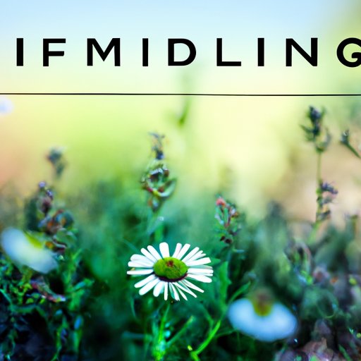 Exploring the “Peace That Surpasses All Understanding”: Cultivating Inner Peace and Promoting Global Harmony