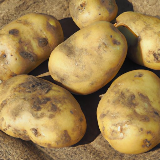 The Fascinating History of Potatoes: Tracing its Origins to [Country Name]