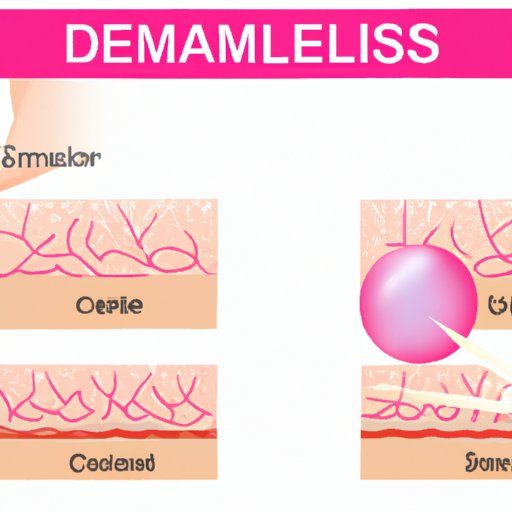 Exploring the Dermis: Understanding the Primary Tissue Type