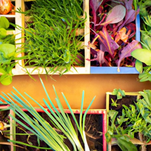 Self-Fertilization in Plants: Evolution and Importance for Sustainability