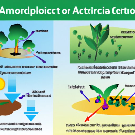 Understanding Abiotic Factors: A Comprehensive Guide